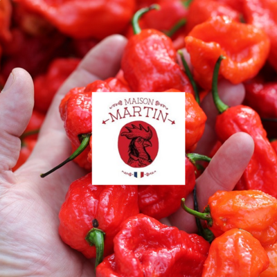 Maison Martin : French spicy sauce factory