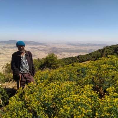 Travel Journal: Return from Ethiopia