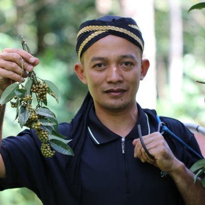 Cubeb pepper - Terre Exotique