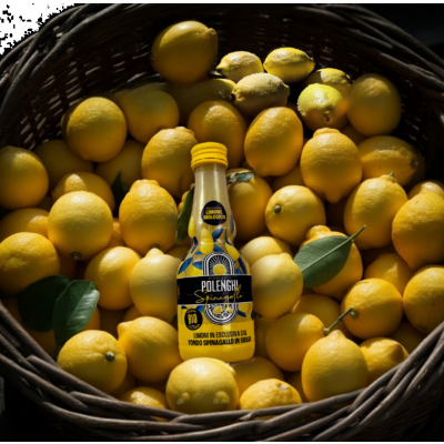 Polenghi: an italian company specializing in lemon juice