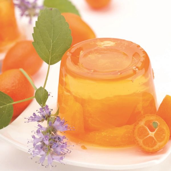 Agar agar powder