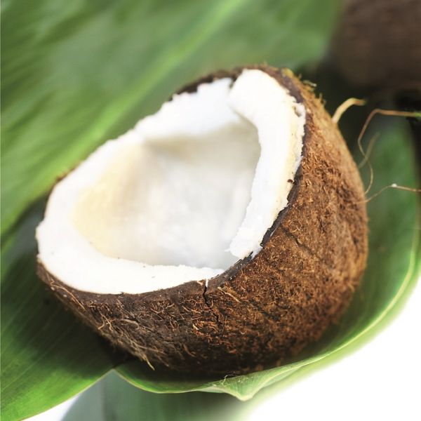 Organic virgin coconut oil**