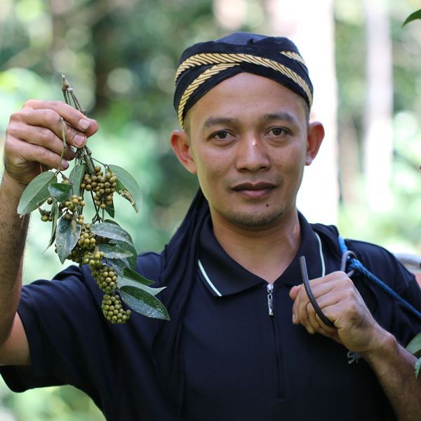 Cubeb pepper