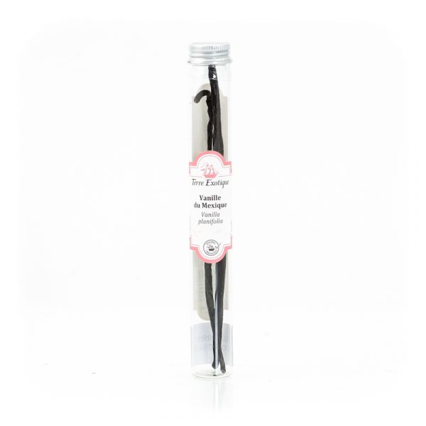 Vanilla from Mexico