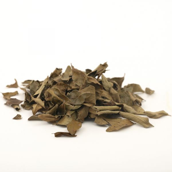 Curry leaf