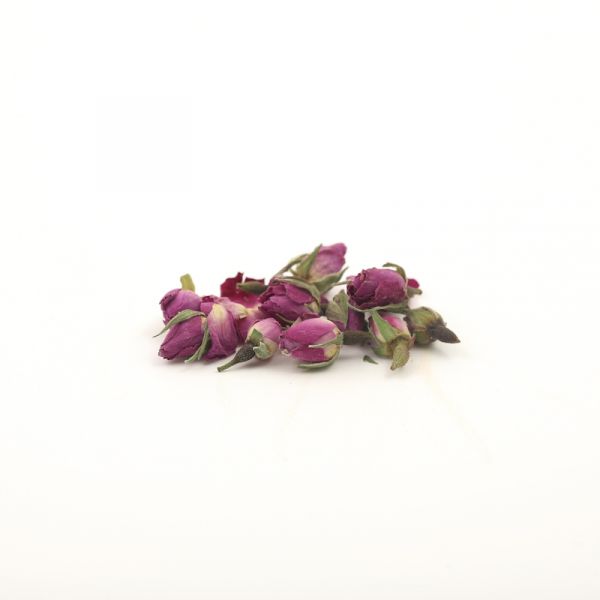Rose buds