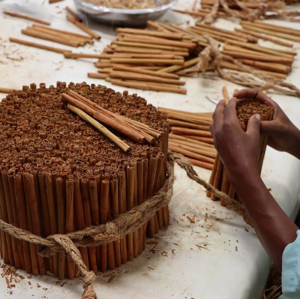 Cinnamon stick