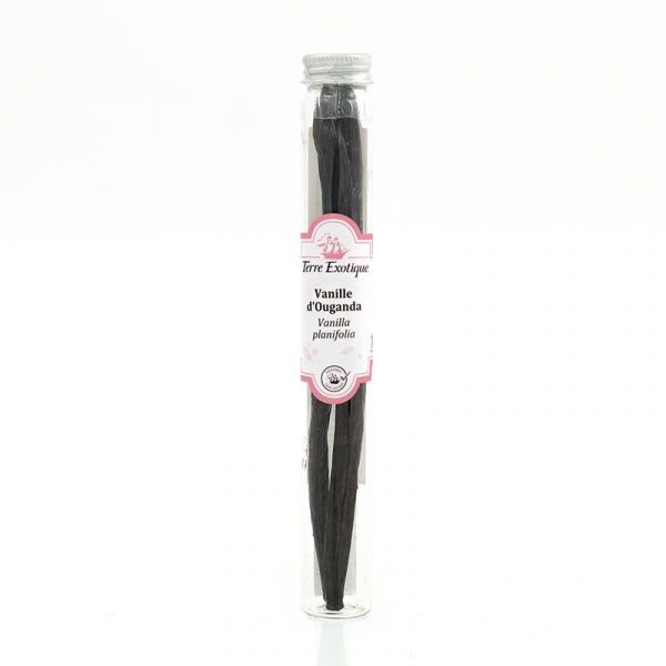 Vanilla from Uganda, bundle pods