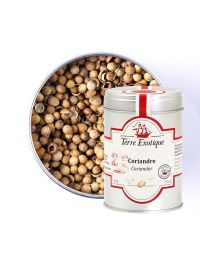 Coriander