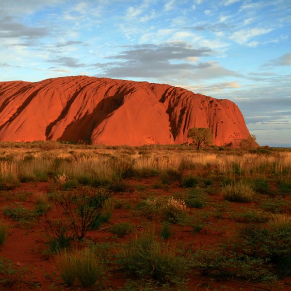 Aboriginals seasoning