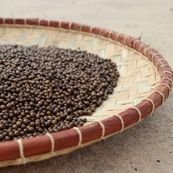 Green salty coastal pepper