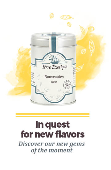Discover our new gems of the moment - Terre Exotique