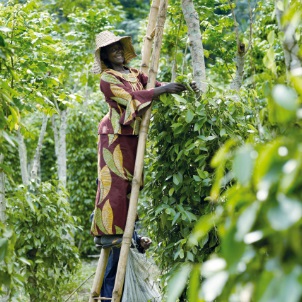 Départ pour les épices de chez Terre Exotique - Epicierie fine Maison  Reignier